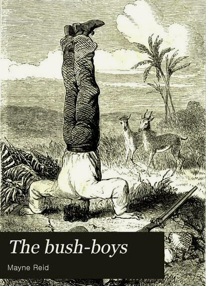 The Bush Boys [ePUB]